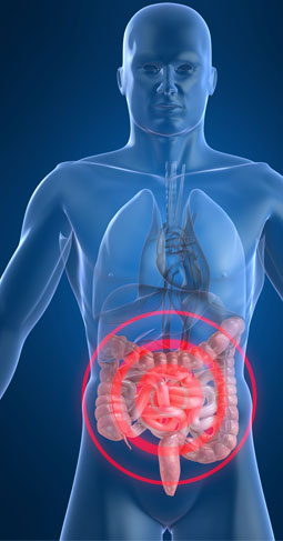 dr goldberg education for patients