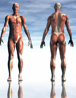 dr goldberg health